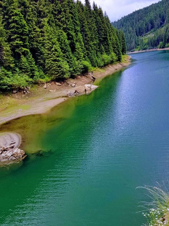 Дома для отпуска Sinaia Veche Синая-89