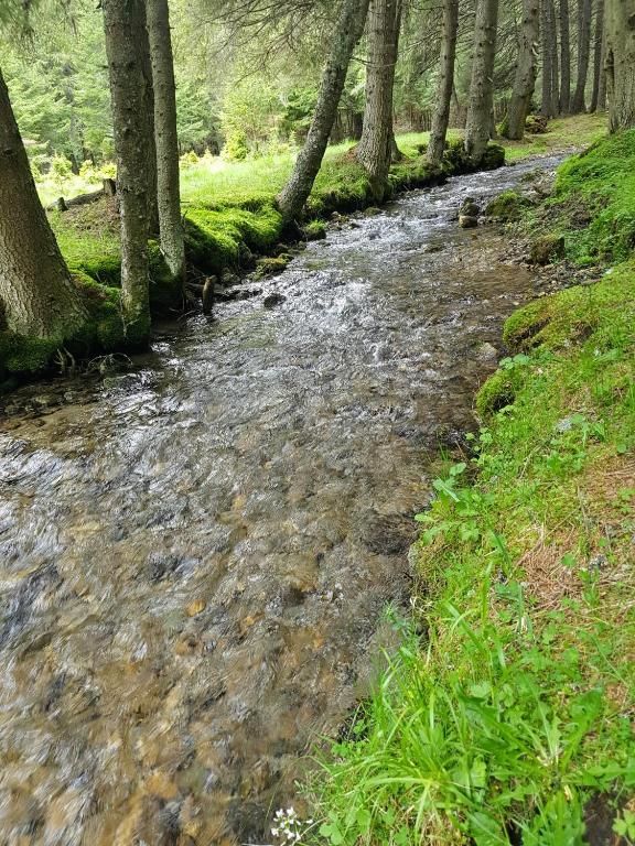 Дома для отпуска Sinaia Veche Синая-90